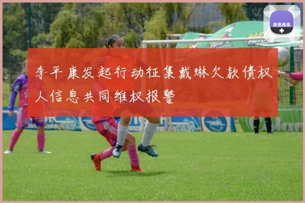 李平康发起行动征集戴琳欠款债权人信息共同维权报警