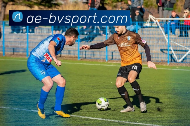 宝威体育平台生态图