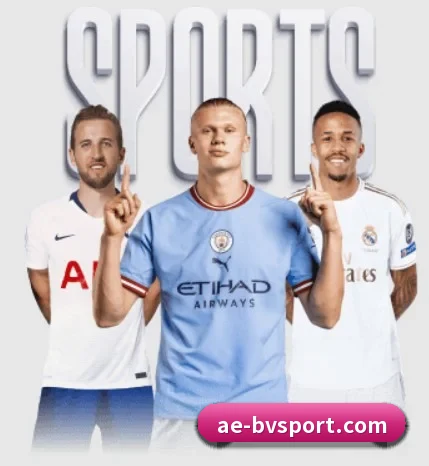 我们在做什么(BOWWAYSPORTS)